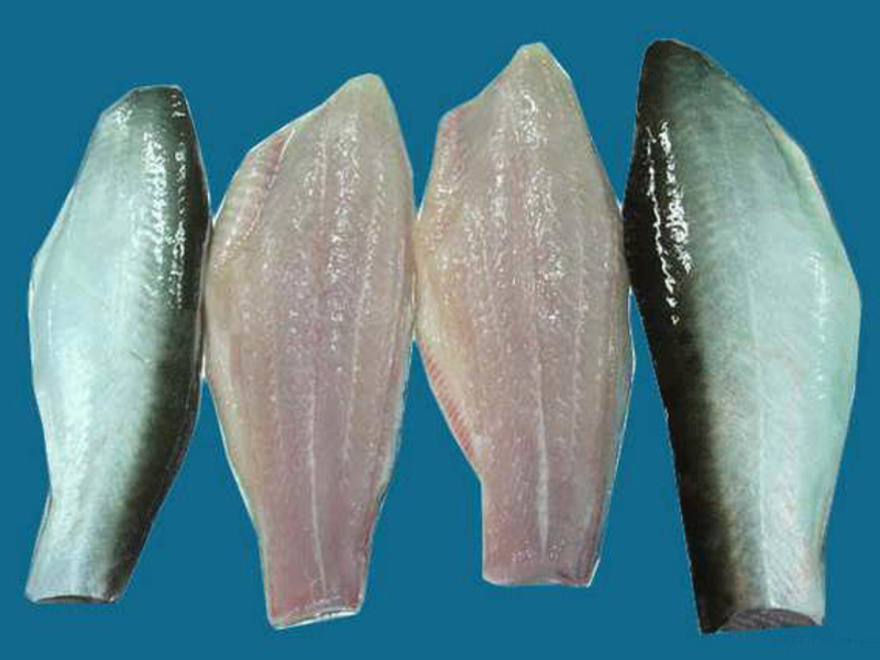 Pangasius fillets – skin on, Belly off, Fat on, STTP